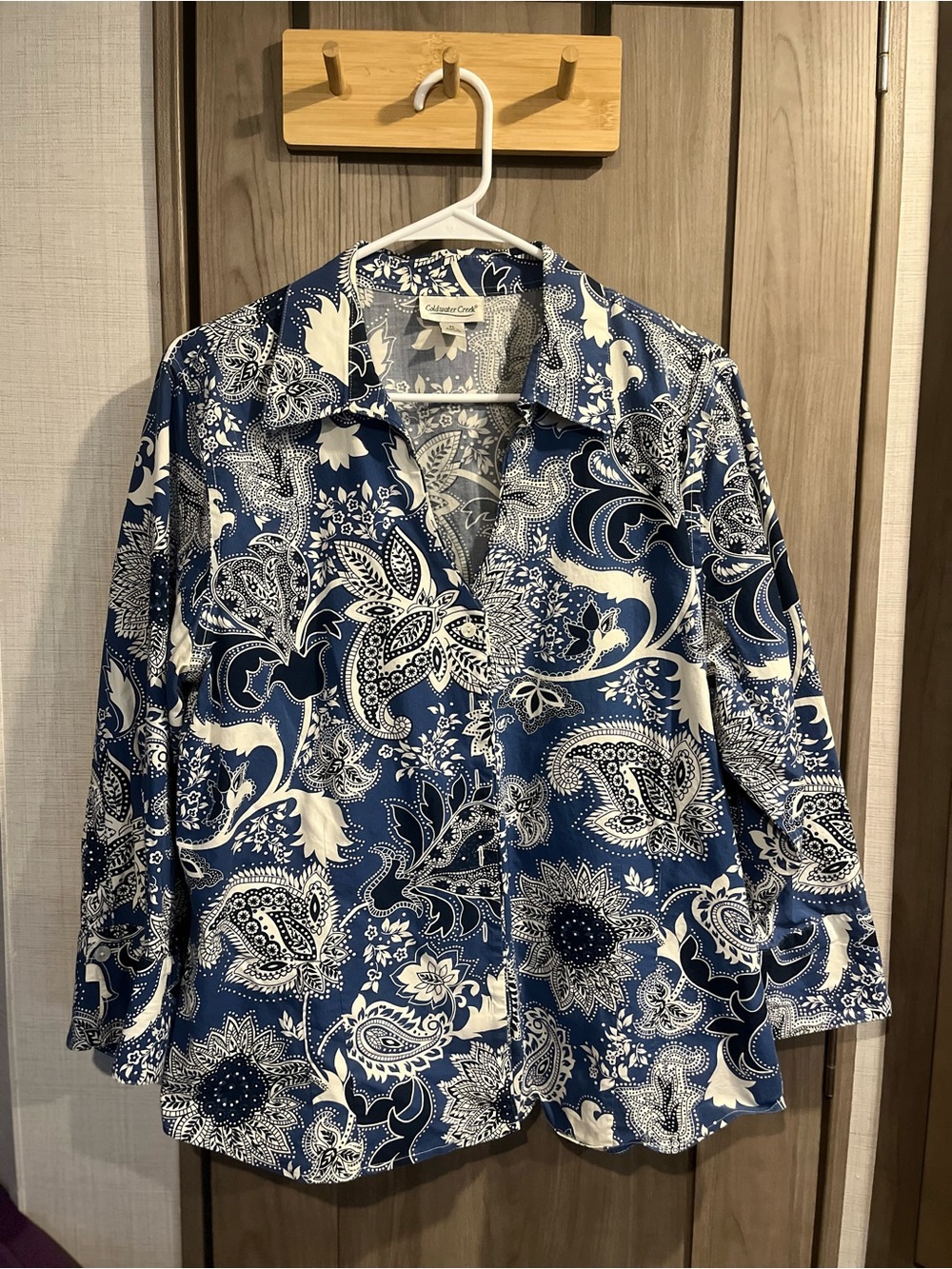 Coldwater Creek Blue and White Paisley Button-Front Blouse
